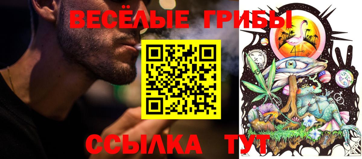 Псилоцибиновые грибы Psilocybine cubensis Улан-Удэ